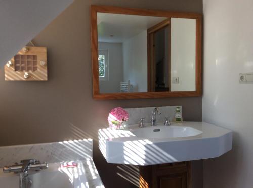 een badkamer met een wastafel en een spiegel bij La Source in Condette