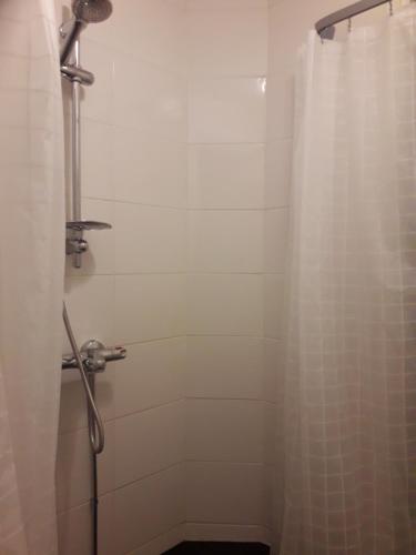 ein Bad mit Dusche und Duschvorhang in der Unterkunft Minnan majoitus in Liminka