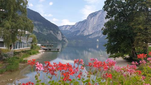 a view of a lake with flowers in the foreground at Haus 66 in Obertraun