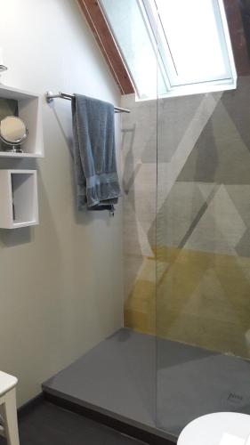 a bathroom with a shower with a glass door at Logis Am Park in Dessau