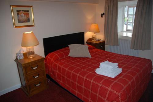 Habitación de hotel con cama roja y manta roja en Waterside Guesthouse, en Graiguenamanagh