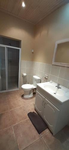 a bathroom with a toilet and a sink at Barton Luxury Villas in Botrivier