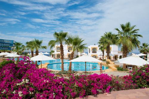 un complexe avec une piscine, des palmiers et des fleurs violettes dans l'établissement Amphoras Blu, à Charm el-Cheikh
