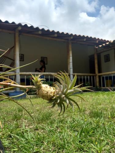 Finca Hotel La Esmeralda Casa 1にある庭