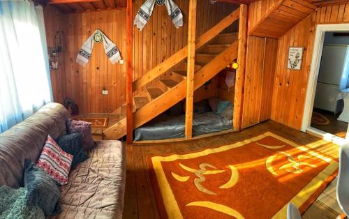 a room with a bunk bed in a log cabin at Căsuța Măriei in Borşa