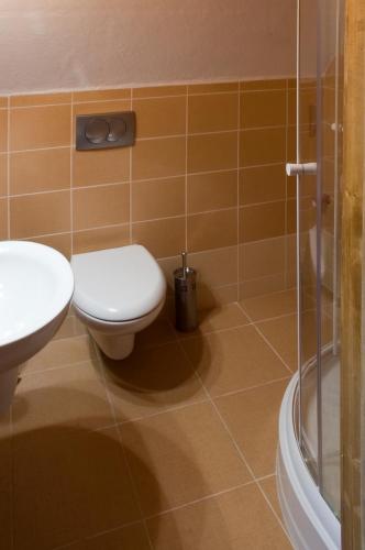 a bathroom with a toilet and a sink and a shower at Pod Zielonym Bykiem in Witów