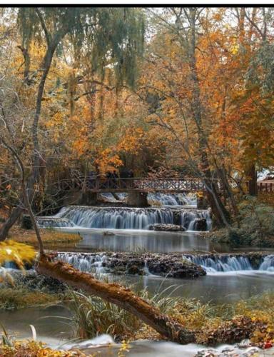a waterfall in a park with a bridge and trees at Mirador Del Río Piedra in Nuévalos
