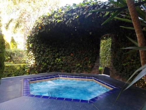 a small swimming pool in a garden with a hedge at Posada Los Alcatraces in Atlixco