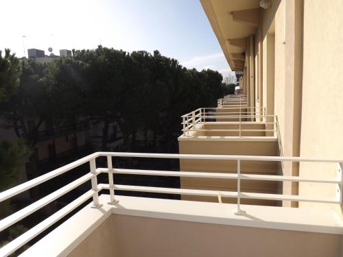 Gallery image of Hotel Muccioli in Misano Adriatico