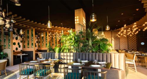 house of aia playa del carmen