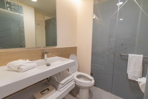 奇瓦瓦的住宿－Highland Chihuahua，一间带水槽、卫生间和镜子的浴室