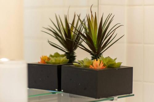 two plants sitting on top of a glass table at Villa Kamakura in Kamakura