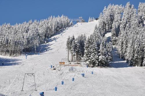 a snow covered ski slope with trees on a mountain at Haus Sonnblick in Braunlage
