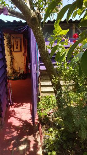 a house with a purple door and a tree at Ajo Aloha Hostel in Cabo Polonio