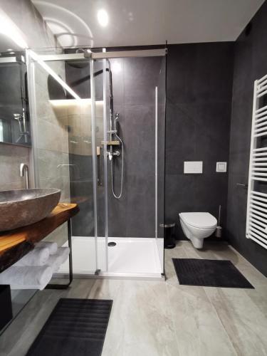 a bathroom with a shower and a toilet at Hotel CityMap Maribor in Maribor
