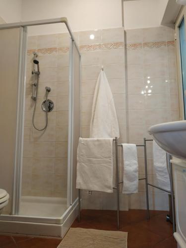 een badkamer met een douche en een wastafel bij B&B Claudia a Monteverde in Rome