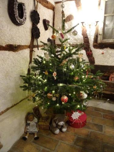 a christmas tree in the corner of a room at Aux temps d'avant in Gundershoffen