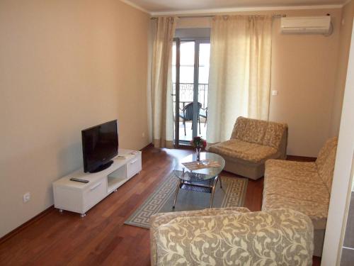 een woonkamer met een bank en een tv bij Apartments Oaza 2 in Petrovac na Moru