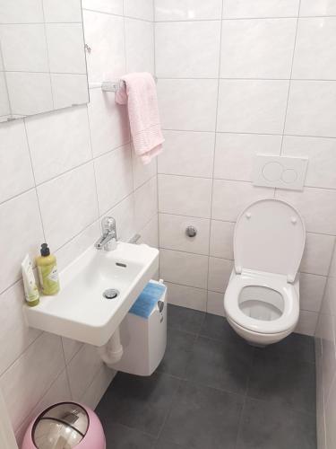 Un baño blanco con inodoro y lavabo. en Friendly Hostel Zürich, en Zúrich