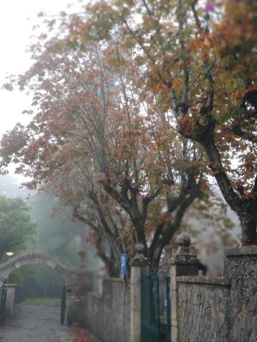 a stone fence with trees on a foggy street at The Five House in Sintra