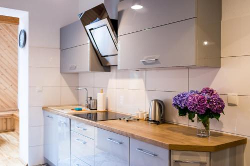 Fotografia z galérie ubytovania Apartamenty pod Krokusem v destinácii Karpacz