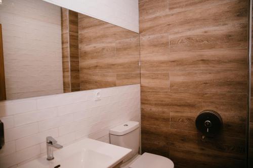 a bathroom with a toilet and a sink and a mirror at O balcón da ribeira in Parada del Sil