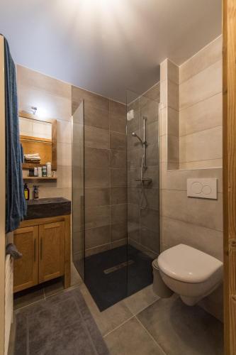 une salle de bain avec douche et toilettes dans l'établissement ODYSSEE ERJ01 Appartement avec terrasse et acces aux pistes, à La Toussuire