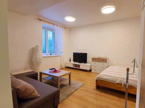 a living room with a couch and a tv at apartmán U Moravy in Olomouc