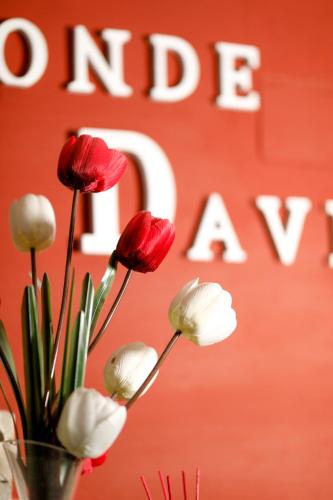a vase with red and white flowers in front of a sign at Hostal Conde David in Salamanca