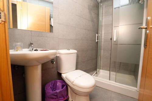 a bathroom with a toilet and a sink and a shower at Hostal Conde David in Salamanca