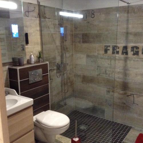 une salle de bain avec une douche avec des toilettes et un lavabo dans l'établissement Intime et tranquille, à Vernouillet
