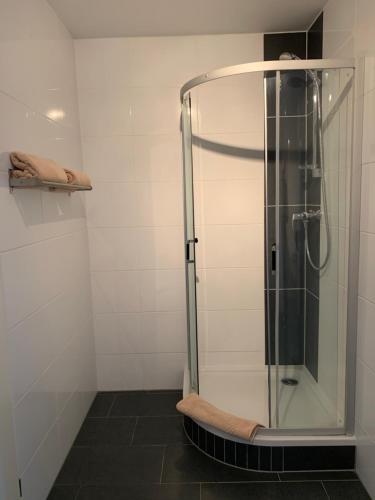 a shower with a glass door in a bathroom at Pension Hannes in Kirn