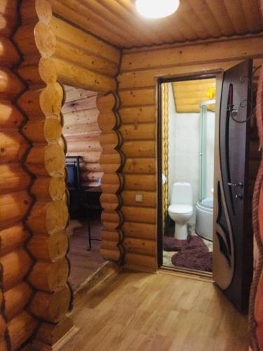 a log cabin with a bathroom with a toilet at Будинок в горах in Polyana