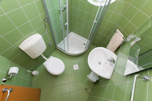 ein Bad mit einem Waschbecken, einem WC und einer Dusche in der Unterkunft Apartments Cobra - excellent location in Tučepi