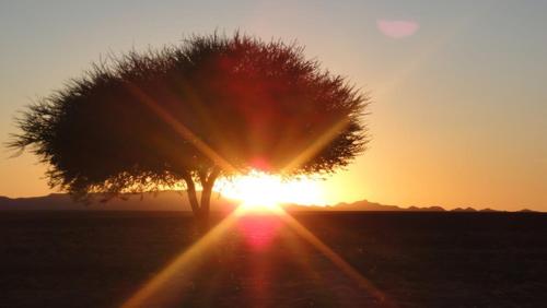Východ nebo západ slunce při pohledu z luxury tent nebo okolí