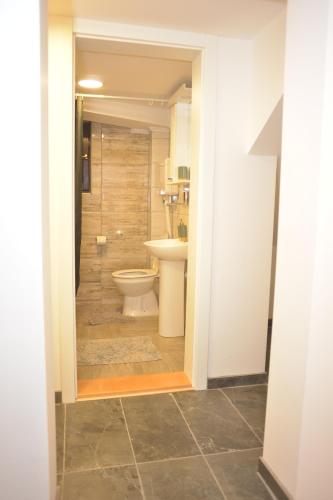 a bathroom with a toilet and a sink at Guest house Dagovic in Bajina Bašta