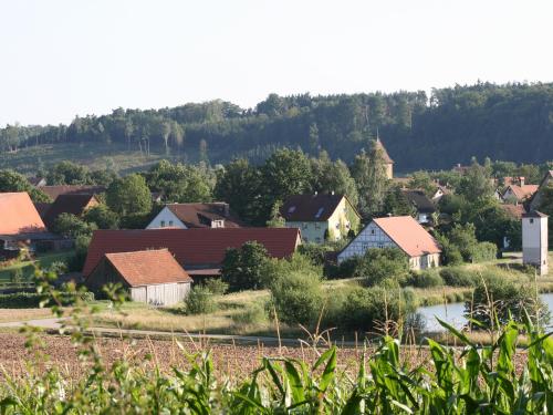 Příroda nedaleko penzionu