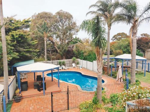 a swimming pool with a gazebo and palm trees at Coachman Motel and Holiday Units in Cowes