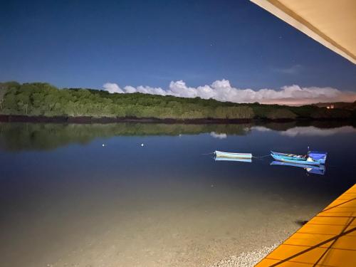 two boats are sitting on the water on a lake at Hotel y Restaurante Costa del Sol in Mata de Limón