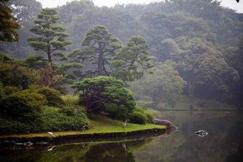 a person standing on a island in the middle of a lake at TORA HOTEL Tokyo-Rikugienn 寅ホテル 六義園 A in Tokyo
