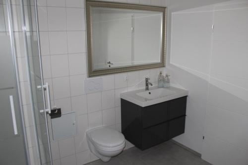 a bathroom with a toilet and a sink and a mirror at Dünenhaus Wohnung 7 in Lübeck