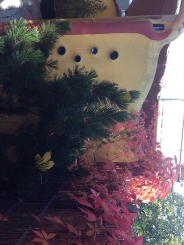 a christmas tree on the side of a building at CasaNova in Bad Windsheim