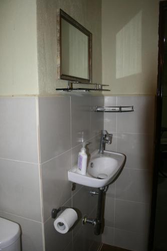 a bathroom with a sink and a mirror and a toilet at Balai Serama Guesthouse in Kuala Tahan