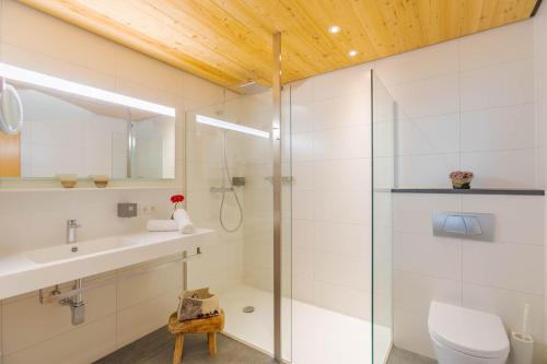 a bathroom with a shower and a toilet and a sink at Gradiva Apartments in Ischgl