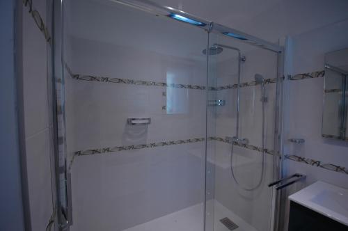 una doccia con una porta in vetro in un bagno di Residence Capicciolo a Olmeto
