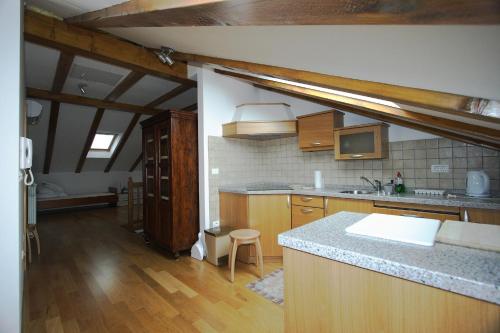 a kitchen with a sink and a counter top at Apartments Janks in Vremski Britof