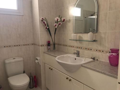 a bathroom with a sink and a toilet and a mirror at Tala Hills Sea view apartment in Paphos City