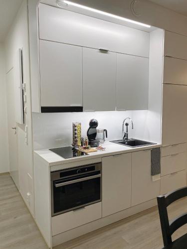 Kuchyň nebo kuchyňský kout v ubytování Zicos polar apartment