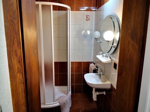 a bathroom with a shower and a sink at Penzion Zákoutí in Pec pod Sněžkou