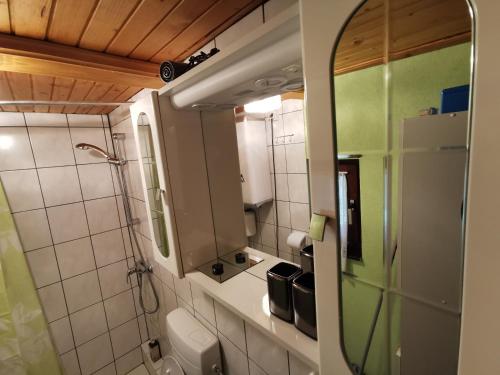 a bathroom with a shower and a mirror at Cottage Hidden Pearl in Zgornje Jezersko